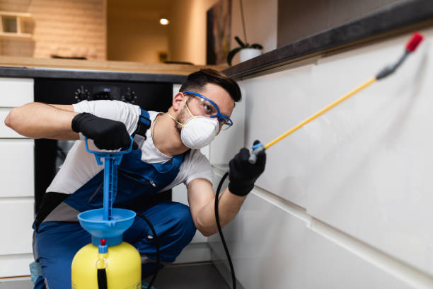 Best Insect Control  in Casas Adobes, AZ