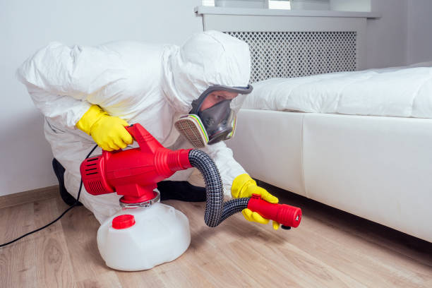 Best Pest Removal Services  in Casas Adobes, AZ